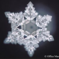 words-of-hope-dr.-masaru-emoto
